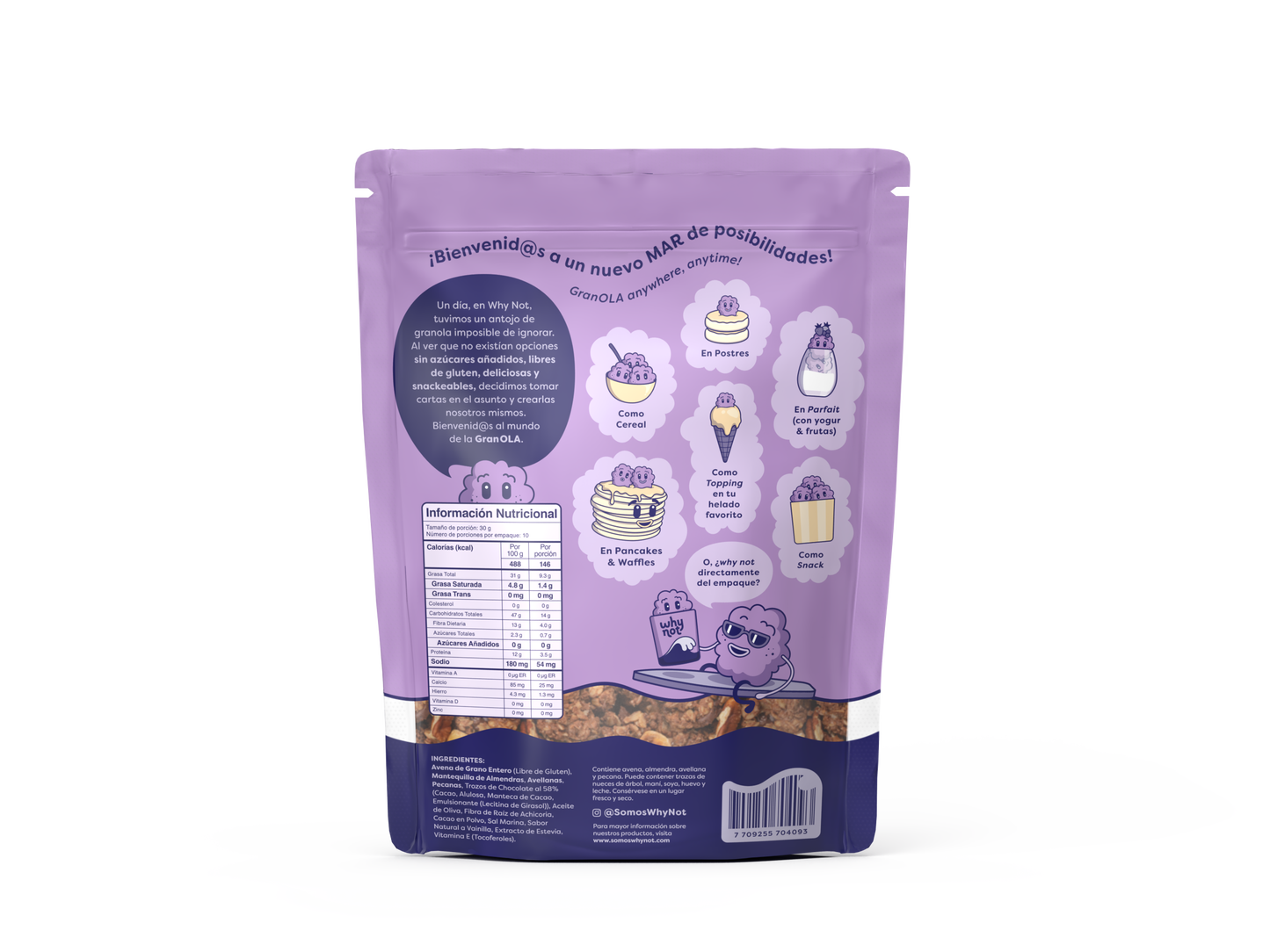 GRANOLA COCOA FUDGE WHY NOT X 300 GRS