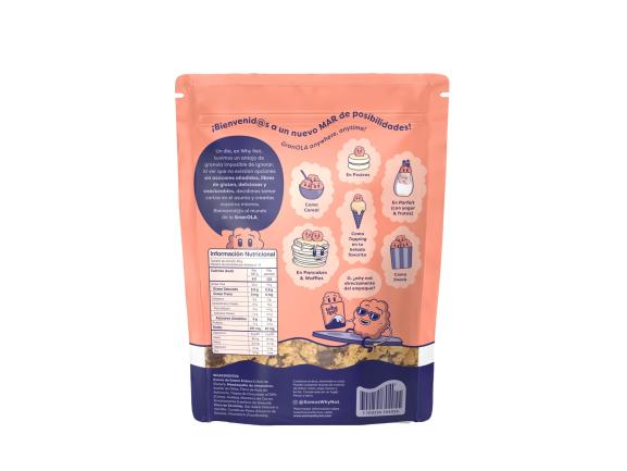 GRANOLA WHY NOT CHOCOCHIPS 300 GRS